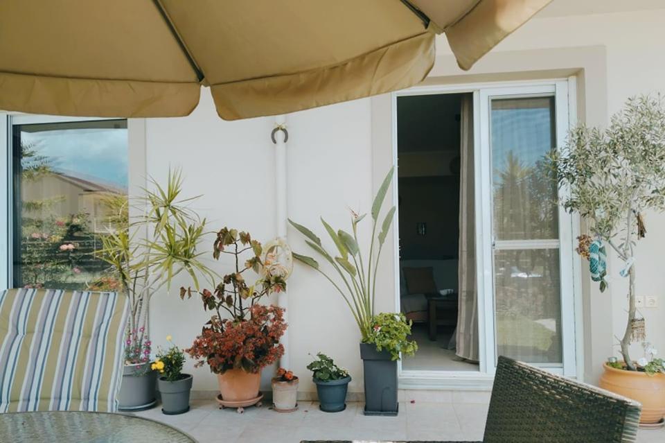 Apartamento Xrysa'S Garden Mesolóngion Exterior foto